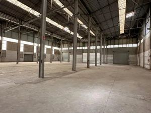 Vente Entrepôt Saint Simon 31100