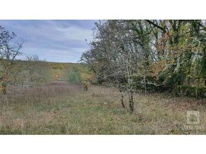 Terrain constructible viabilisé à vendre