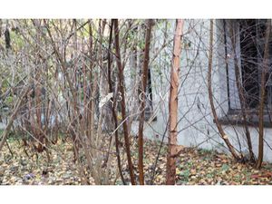 Terrain à bâtir ou maison à retaper