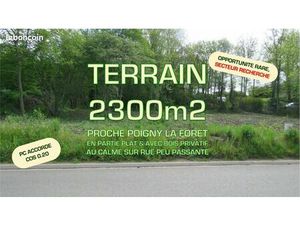 Beau & grand terrain constructible secteur forestier (RARE)