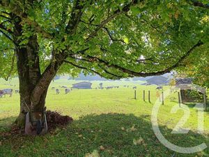 Maison à vendre - 7 pièces - 145 m2 - Jougne - 25 - FRANCHE-COMTE