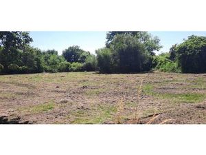 Vente terrain 1000 m² Lugos (33830)