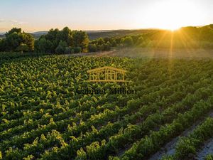 Annonce vente terrain terrain de 110m2 à Vic-la-gardiole (34110) - ParuVendu.fr ref 992783