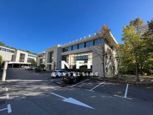 Bureaux lumineux et rénové de 277m² à louer