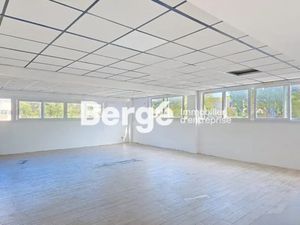 Immobilier Professionnel à louer Cannes