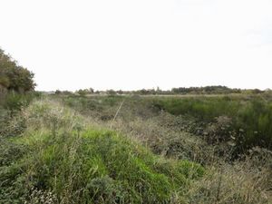 Terrain de plus de 2 hectares