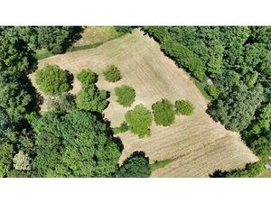 Terrain à vendre à Rue Wanroux Genappe (VBD51544)