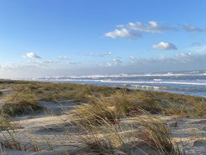 Vente maison 6 pièces 248 m² Le Cap-Ferret (33970)