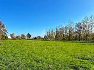 Vente Terrain au Perrier (85300) : à vendre / 1424m² Le Perrier