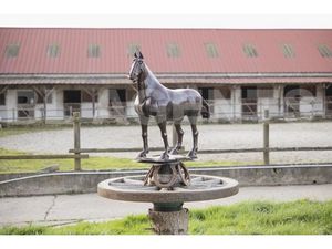 Vente propriété équestre 9 pièces