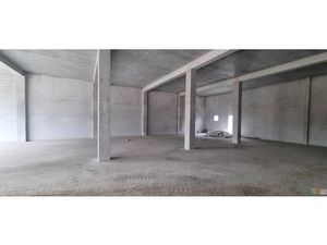 Location local commercial 1 pièce