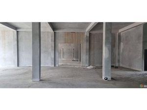 Location local commercial 1 pièce