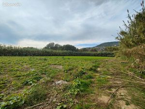 Terrain 1 hectare à louer