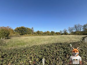 À vendre : Beau grand terrain à Saint-Vite _ 52 17 ares