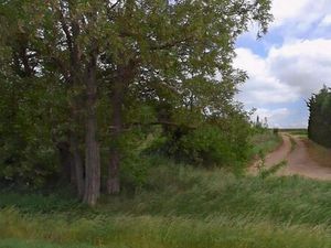 Terrain clos 3 000 m² avec cabane et 5G excellente : le spot parfait pour télétravailler e