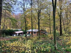 Chalet avec terrain 2250m2 dans bois 10 min des lacs