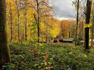 Chalet avec terrain 2250m2 dans bois 10 min des lacs