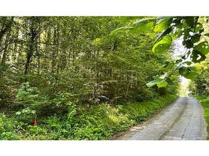 Joli terrain boisé avec largeur à front de rue important