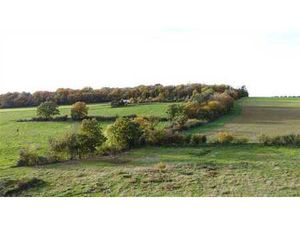 Terrain à bâtir à Nettinne