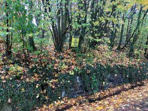 Terrain boisé (talus) à vendre à Saint-Gérard