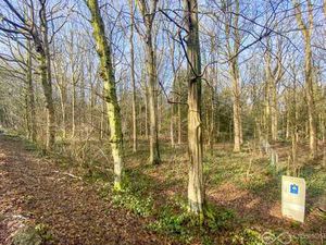 Terrain à bâtir boisé de 34a 96ca