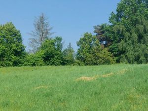 Vente terrain 542 m² à Primarette (38270)  69 500 €