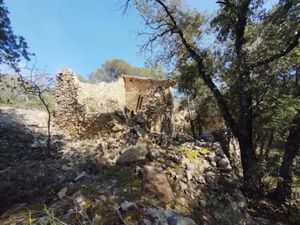 Vente terrain 35980 m² à Venasque (84210)  110 000 €