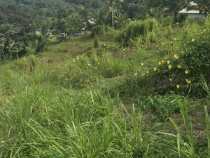 Vente Terrain 1 502 m²