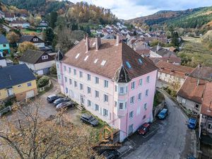 Vente immeuble 26 pièces 779 m² à Rothau (67570)  728 000 €