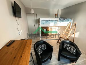 Location meublée appartement 1 pièce 22 m² à Charenton-le-Pont (94220)  790 €