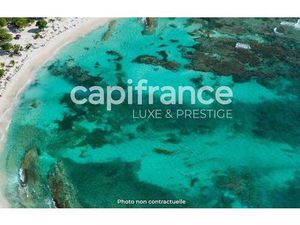 WERNER Laurence Capifrance