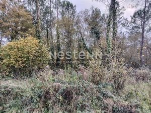 Terrain boisé à vendre à Bignan