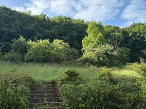 Maison dans un écrin de verdure