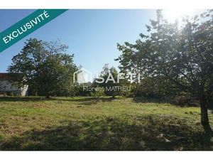 Terrain borné  arboré et constructible 1000m².