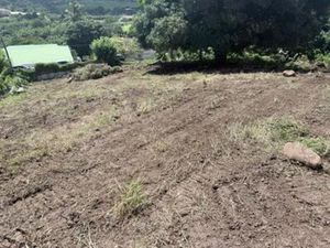 TERRAINS A VENDRE FRANCOIS  Martinique