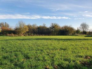 Achat Terrain 1 118m² ST HILAIRE LA PALUD 79210