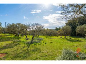 Achat Terrain 4 927m² VARAGES 83670