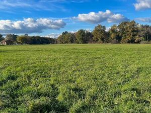 Terrain avec partie constructible et agricole