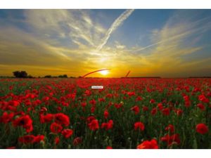 ZILLISHEIM (68720) JOLI TERRAIN DE CONSTRUCTION VIABILISE ET