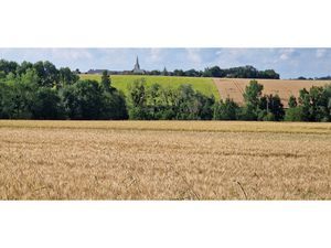 Achat Terrain 1 596m² LEMERE 37120