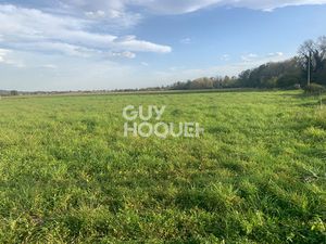 Terrain plat viabilisé avec vue sur les Pyrénées à Labastide-Cézéracq