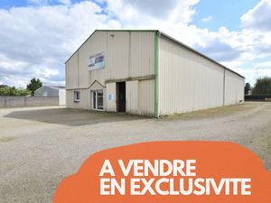 Achat Local Professionnel 476m² LA LIMOUZINIERE 44310