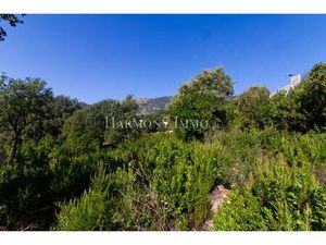 Terrain au calme  viabilisé à 10’ du centre de Baléone avec vue montagne.