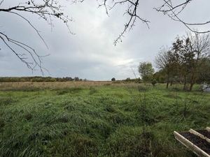 Vente commerce 1 pièce 161 m² Hères (65700)