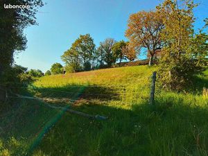 Vend parcelle constructible à Roannes saint mary ( lieux dit saint mary)1477m2