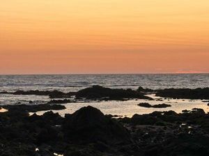 Recherche terrain pour saison