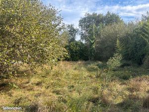 Location terrain pour chevaux