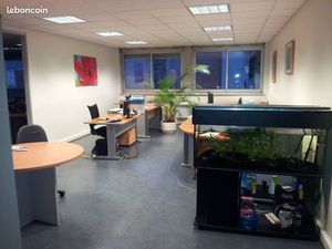 Loue Bureau 96M2 Gorge de Loup 1100 mois Cnc