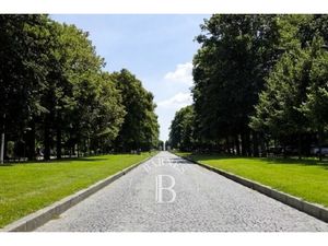 Annonce maison à vendre