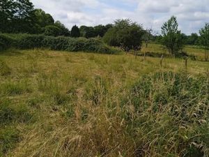 Vente terrain 2424 m² à Bletterans (39140)  38 000 €